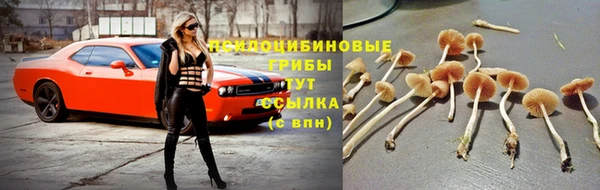 соль ск Корсаков