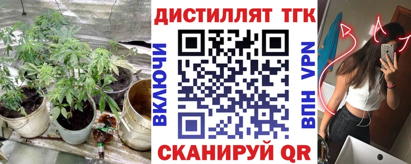 Купить где  Балашов  ТГК концентрат 