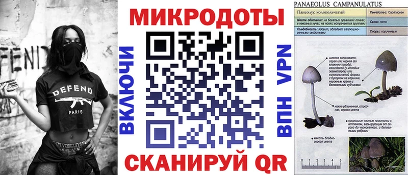 Купить  Балашов  Псилоцибиновые грибы GOLDEN TEACHER 