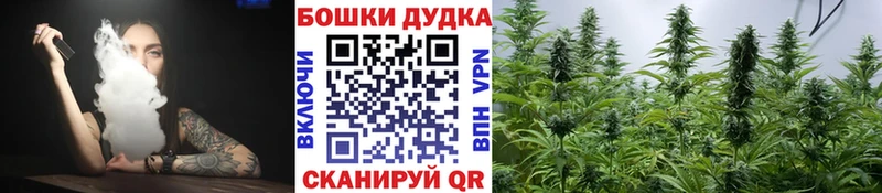 Бошки марихуана гибрид Балашов